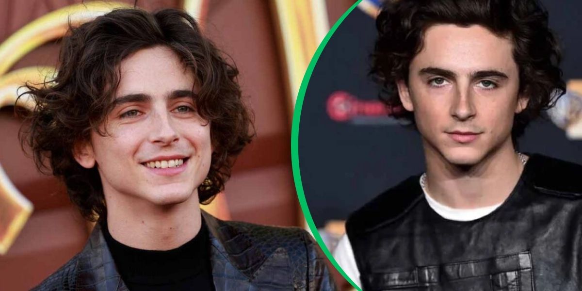 Who Is Timothy Shalloway? Uncovering the Truth Behind the Rising Star