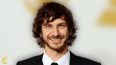gotye net worth